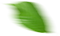 leaf-four