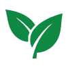 Sustainable Energy Leaf Icon